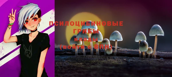 2c-b Пересвет