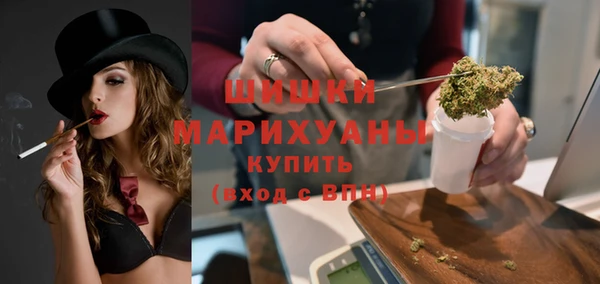 дмт Переславль-Залесский