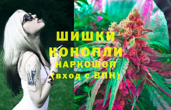 дмт Переславль-Залесский