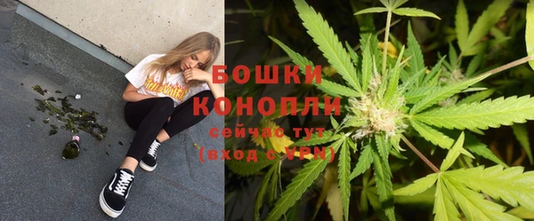 дмт Переславль-Залесский