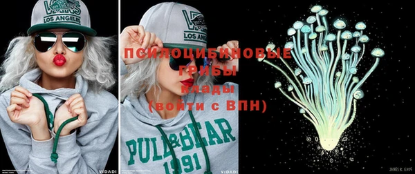 2c-b Пересвет
