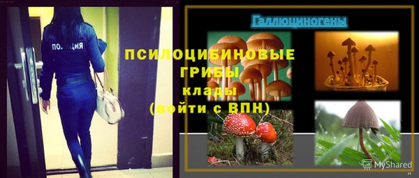 дмт Переславль-Залесский
