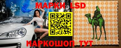 ПСИЛОЦИБИНОВЫЕ ГРИБЫ Берёзовский