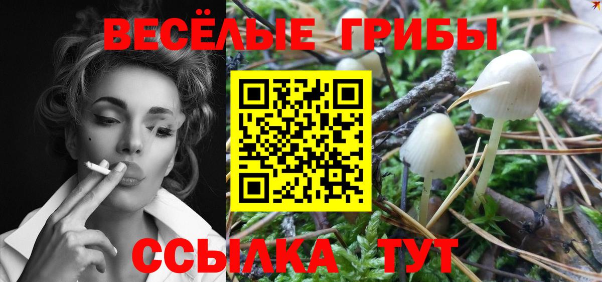 Красноперекопск  Галлюциногенные грибы мухоморы  Вход с VPN 